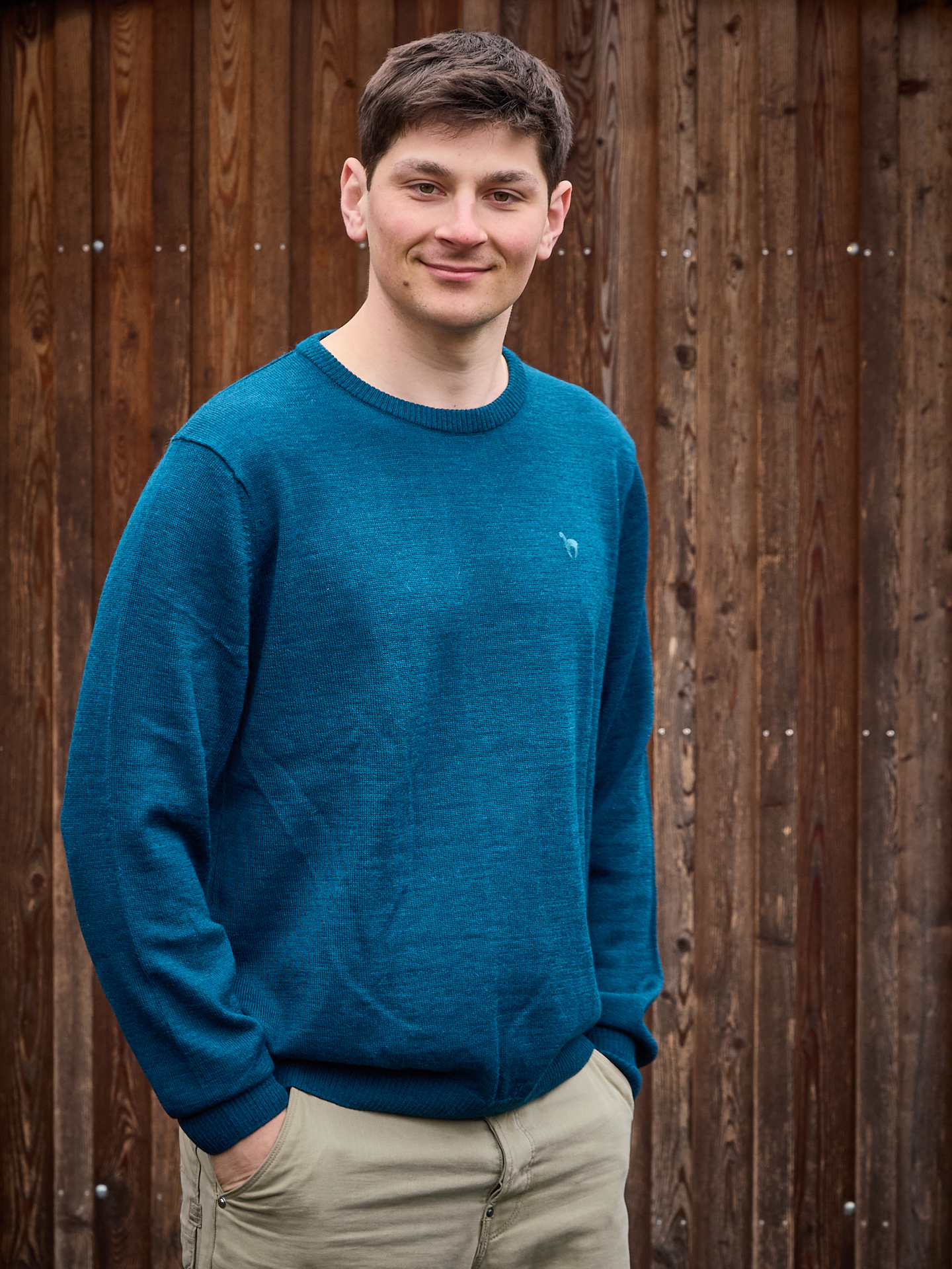 Herren Alpaka Pullover Basic