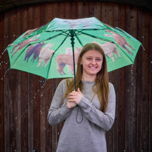 schirm mit Alpakamotiven