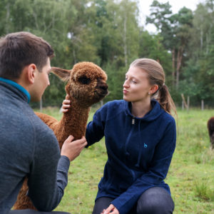 Atmungsaktiver Anden active Sport Hoody für Damen
