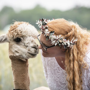 Fotoshooting mit Alpakas