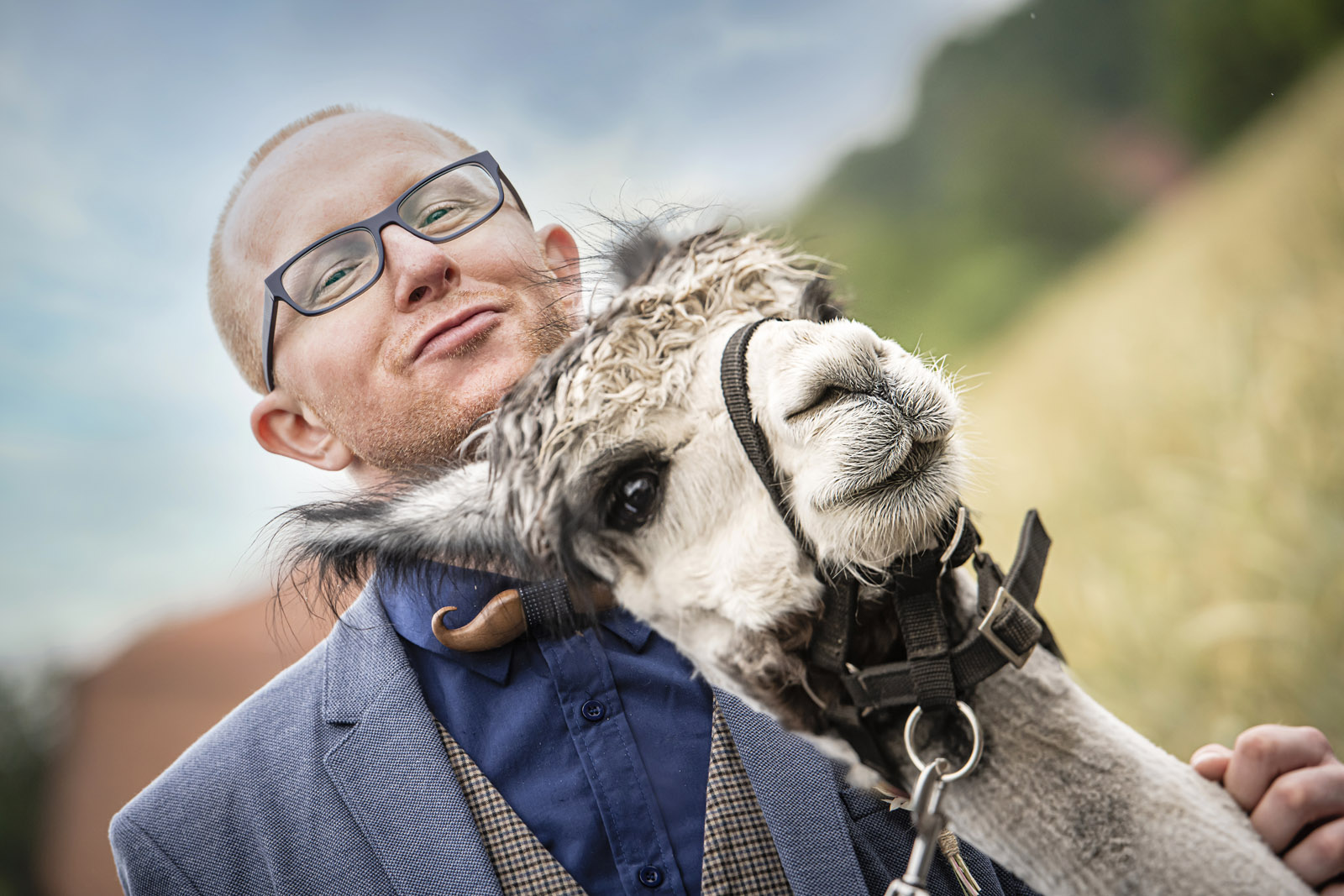 Fotoshooting mit Alpakas