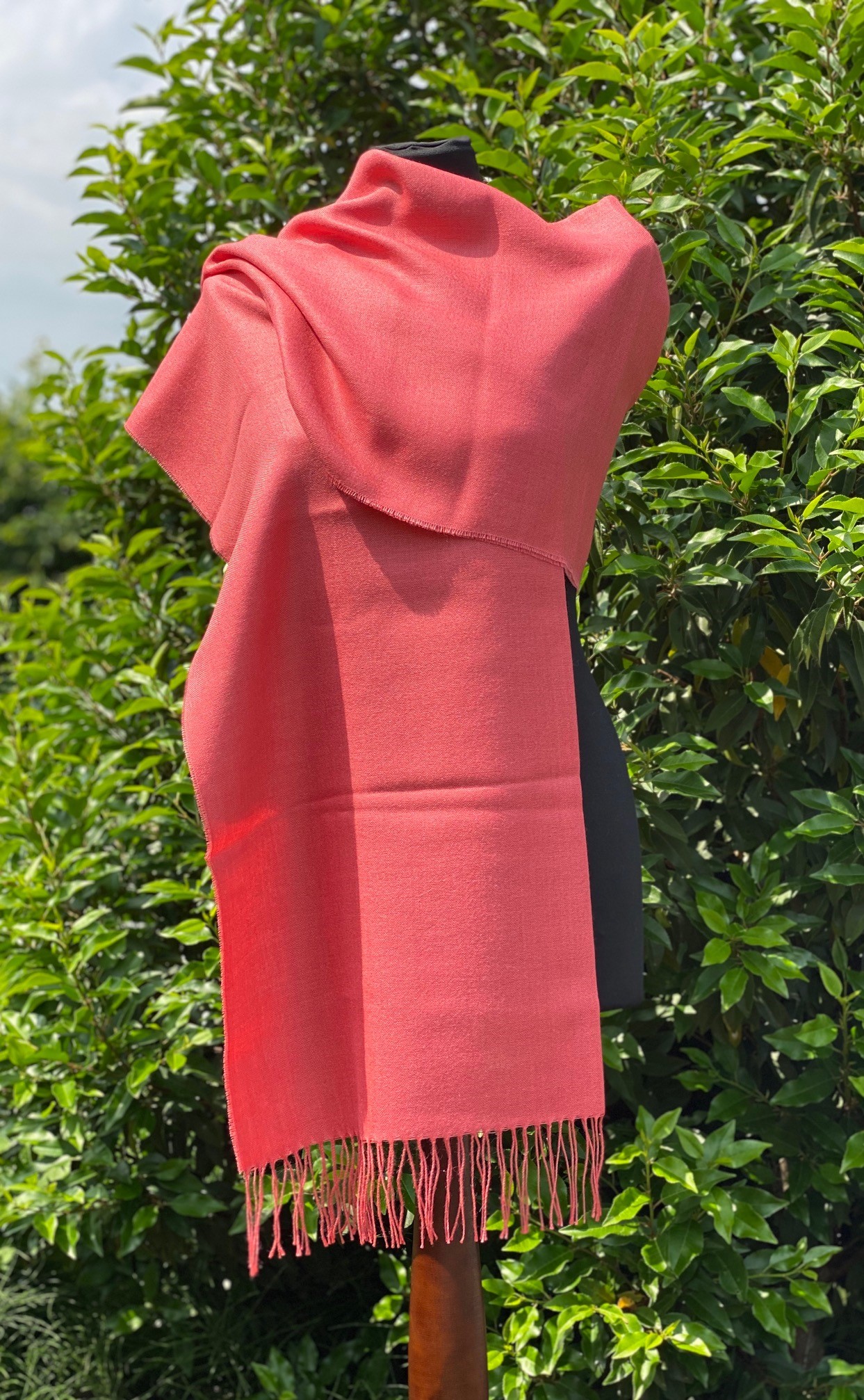 IMG_7513