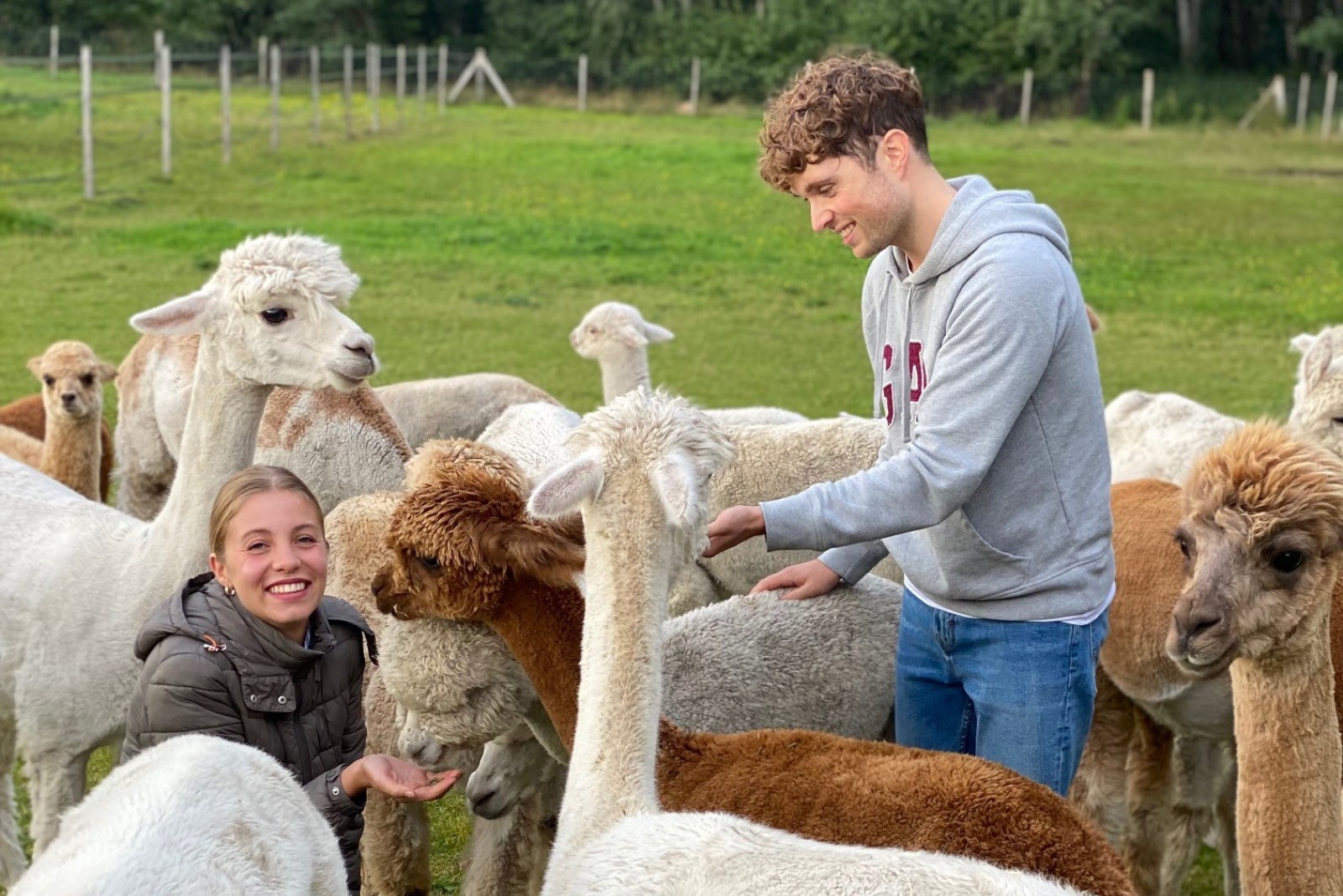 Exklusive Momente Alpaka Momente auf dem Alpakahof Hannover 2