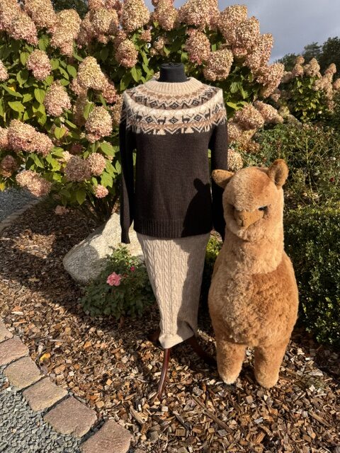 Pullover Damen SOLANA – Bild 1